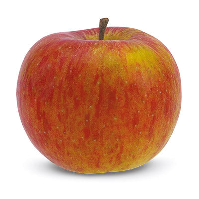 Apfel Boskop