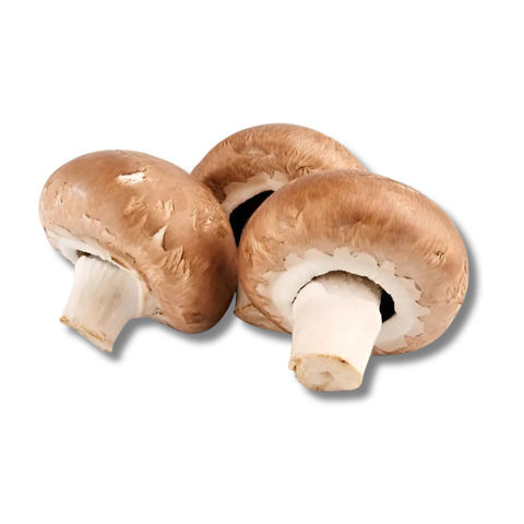 mushroom brown
