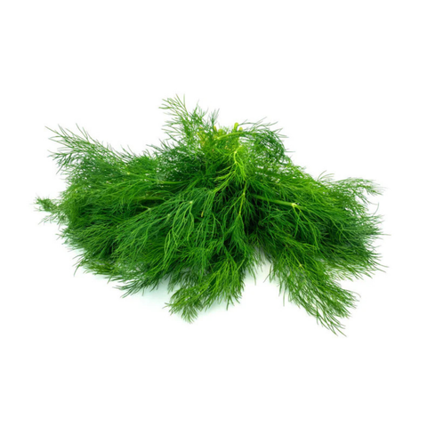 dill