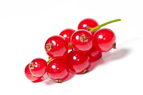 Johannisbeeren
