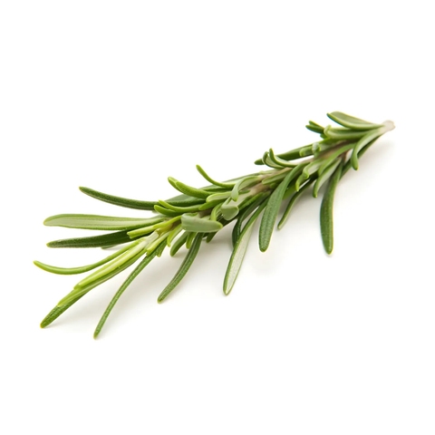 rosemary