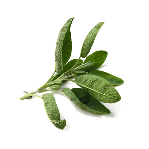 sage