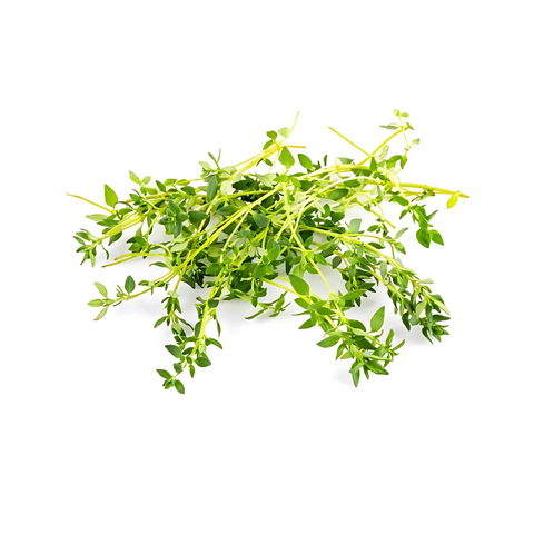 thyme