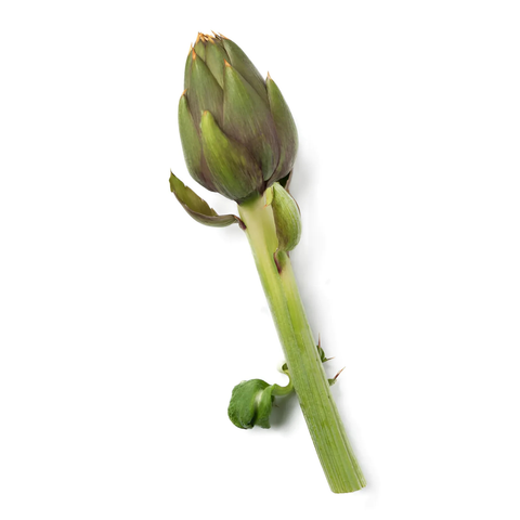Carciofo Spini