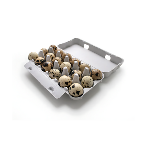 Quail eggs 18