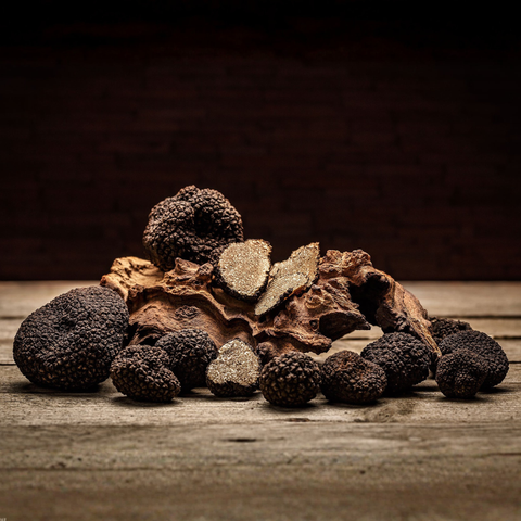 Trüffel Spezialitäten