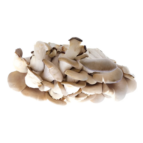 oyster mushrooms