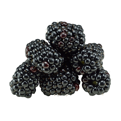 Brombeeren