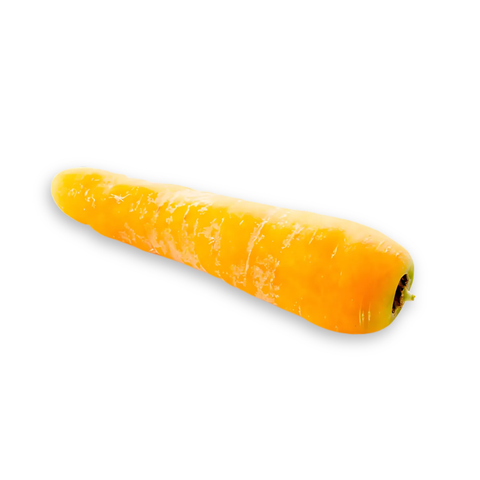 Carote Palatinato