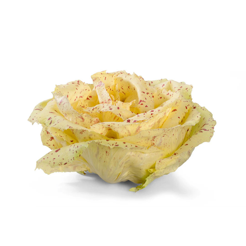 Castelfranco
