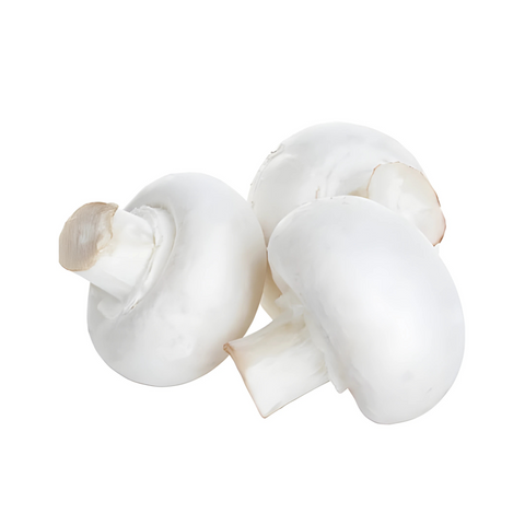 white mushroom