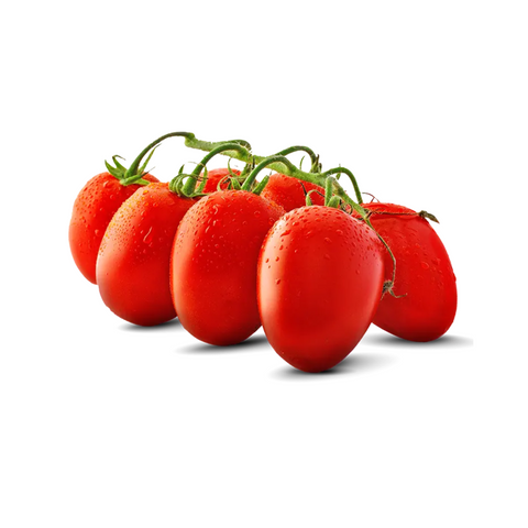 Tomaten Datterini rot
