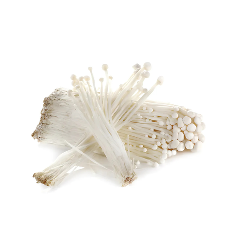 Enoki 100g