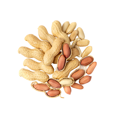 Erdnuesse