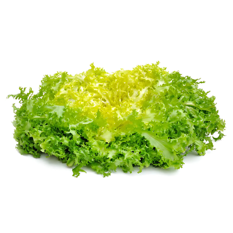Frise