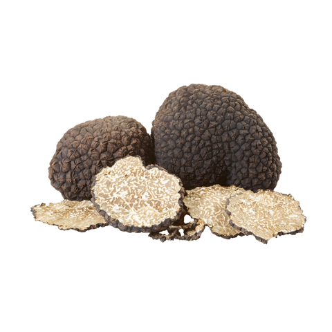 Herbsttrüffel schwarz