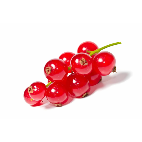 Johannisbeeren