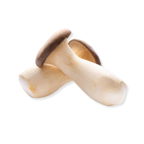 King oyster mushrooms