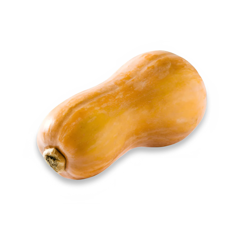 Kürbis Butternut