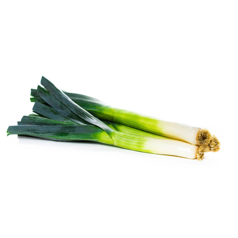 Lauch grün