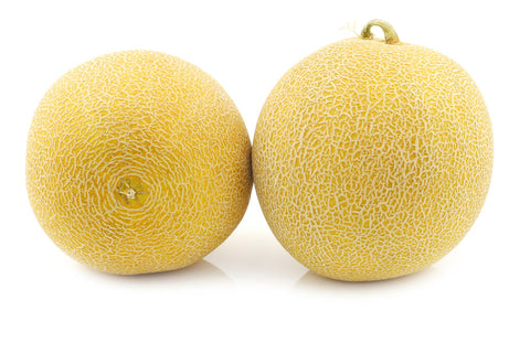 Melonen Grünfleischig Galia