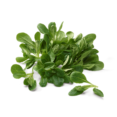 Nüsslisalat extra