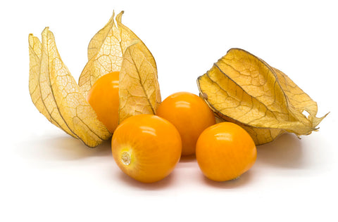 Physalis