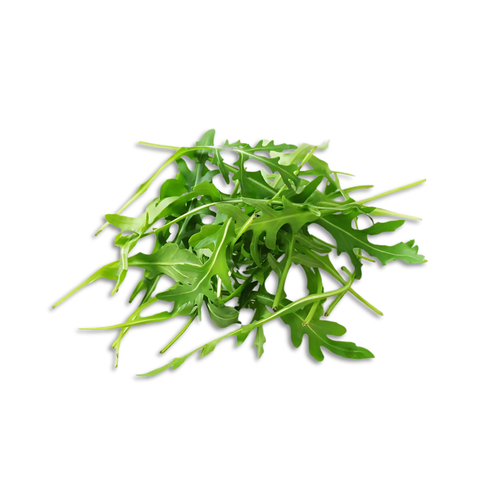 Rucola Bund ca. 40g