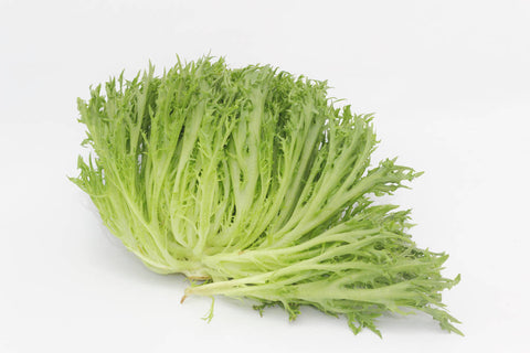 Salanova Crispy grün