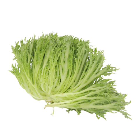 Salanova Crispy grün