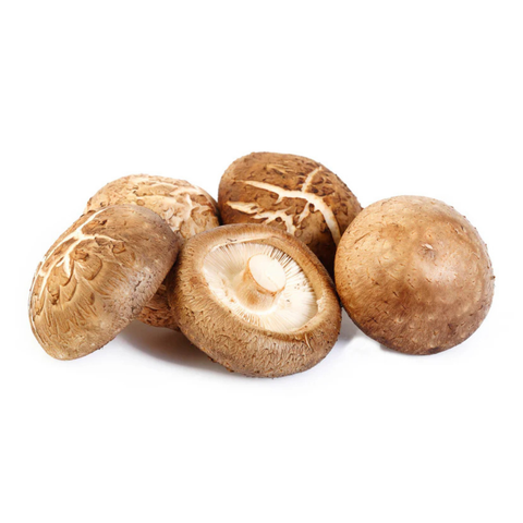 Shiitake