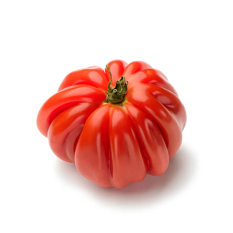 Tomaten Ochsenherz