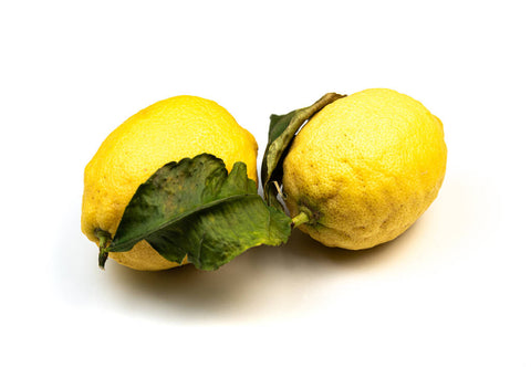 Zitronen mit Blatt