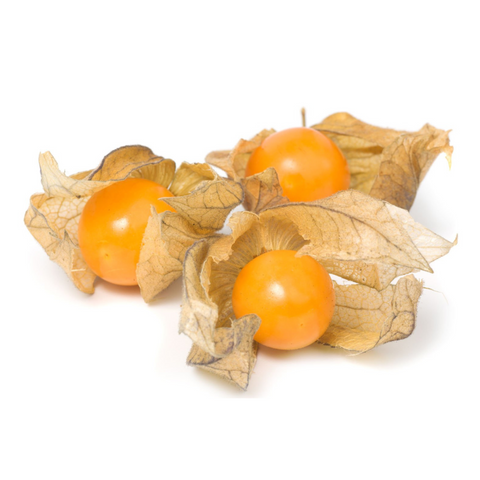 Physalis